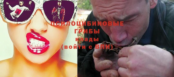 прущие грибы Володарск