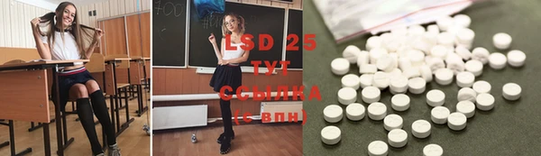 прущие грибы Володарск