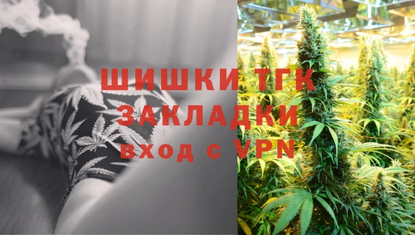 прущие грибы Володарск