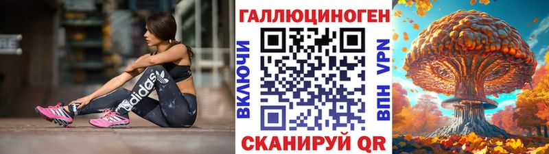 Псилоцибиновые грибы Cubensis  Каргат 